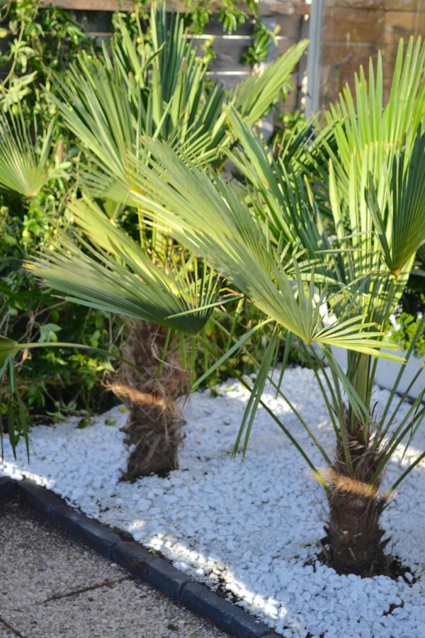 Beachy Chic Zandvoort Ngoại thất bức ảnh